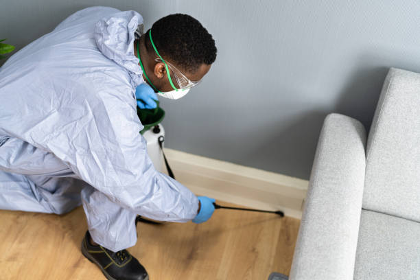 Reliable Auburndale, FL Pest Control Solutions